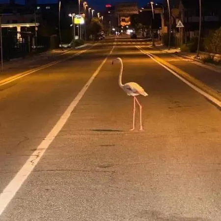 Zen * Quartu SantʼElena