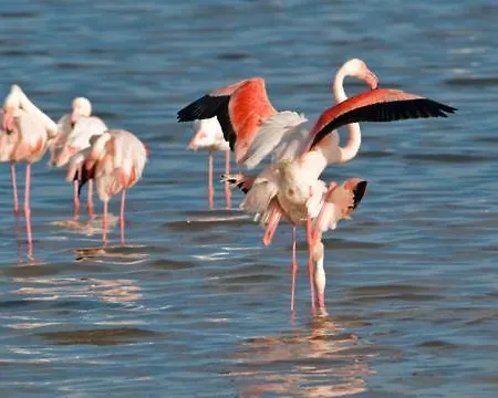 Zen * Quartu SantʼElena