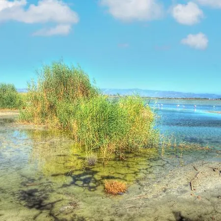 Zen Quartu SantʼElena