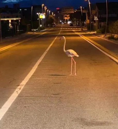 Zen * Quartu Sant'Elena