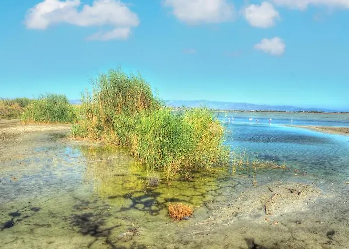 Zen Quartu Sant'Elena